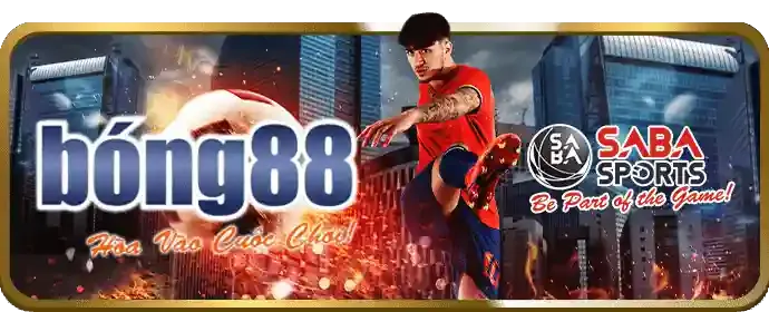 Quy tắc đá gà 88clb88